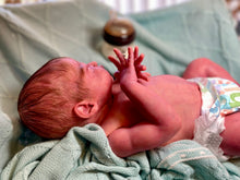 Load image into Gallery viewer, AVAILABLE SOLD OUT Vinyl reborn Gracie Mae  (sculpted by Laura Lee Eagles, brought to life by Nadine Dolotova)