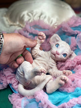 Load image into Gallery viewer, NOT AVAILABLE  Full body silicone white sphinx kitten