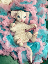 Load image into Gallery viewer, NOT AVAILABLE  Full body silicone white sphinx kitten