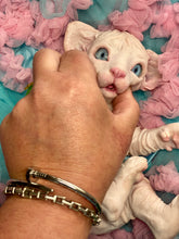 Load image into Gallery viewer, NOT AVAILABLE  Full body silicone white sphinx kitten