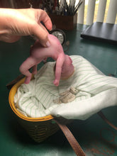 Load image into Gallery viewer, CUSTOM Full body silicone ULTRA soft mini kit Kenzo 8” in super soft blend with 3D skin effect, rooted