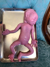 Load image into Gallery viewer, OPEN EYES Full body silicone Collette 12" blank kit