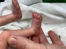 Load image into Gallery viewer, CUSTOM Reborn premature baby Promise by Marita Winters