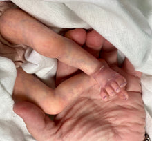 Load image into Gallery viewer, CUSTOM Reborn premature baby Promise by Marita Winters
