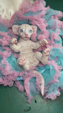 Load and play video in Gallery viewer, NOT AVAILABLE  Full body silicone white sphinx kitten