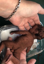 Load image into Gallery viewer, AVAILABLE Biracial full body silicone mini kit Kenzo 8” in super soft blend ROOTED