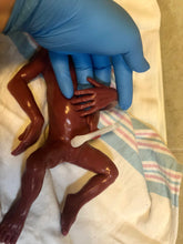 Load image into Gallery viewer, CUSTOM Blank (unpainted) full body silicone kit Hope 12” (baby girl) in ultra premature baby colour in super soft platinum silicone