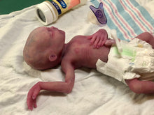 Load image into Gallery viewer, Prototype full body silicone baby girl Hope 12” (ultra premature baby) in Caucasian flocked colour in super soft platinum silicone