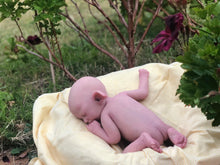 Load image into Gallery viewer, Custom full body silicone baby fairy LILA in soft blend BALD