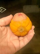 Load image into Gallery viewer, Custom set of four baby vegetables full body silicone kits set of four (price for 4 items)