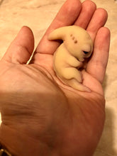 Load image into Gallery viewer, AVAILABLE Prototype full body silicone mini alien (alien fetus)