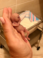 Load image into Gallery viewer, Custom full body silicone mini kit Lia (baby girl) in super soft blend with 3D skin effect - project “I exist!”