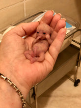 Load image into Gallery viewer, Custom full body silicone mini kit Lia (baby girl) in super soft blend with 3D skin effect - project “I exist!”