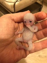 Load image into Gallery viewer, AVAILABLE full body silicone fantasy mini kit Leo( baby boy) in super soft blend glow in the dark- project “I exist!”