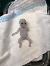 Load image into Gallery viewer, AVAILABLE full body silicone fantasy mini kit Leo( baby boy) in super soft blend glow in the dark- project “I exist!”