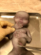 Load image into Gallery viewer, AVAILABLE Full body silicone alien baby (Hope in super soft blend)