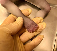 Load image into Gallery viewer, AVAILABLE Full body silicone alien baby (Hope in super soft blend)