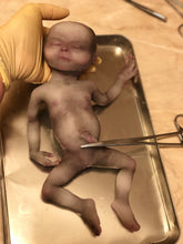 Load image into Gallery viewer, AVAILABLE Full body silicone alien baby (Hope in super soft blend)