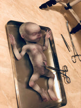 Load image into Gallery viewer, AVAILABLE Full body silicone alien baby (Hope in super soft blend)