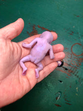 Load image into Gallery viewer, CUSTOM full body silicone fantasy mini kit Leo( baby boy) in super soft blend - project “I exist!”