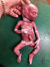 Load image into Gallery viewer, Custom full body silicone vernix baby girl Hope 12” (ultra premature baby) in soft platinum silicone