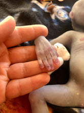 Load image into Gallery viewer, Custom Full body silicone alien baby awake (Hope in super soft blend)