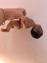 Load image into Gallery viewer, AVAILABLE full body silicone 10” doll Willow (with hair) in soft blend