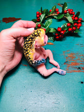 Load image into Gallery viewer, AVAILABLE Full body fantasy silicone baby Iedel