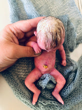 Load image into Gallery viewer, Custom prototype full body silicone mini kit Kenzo 8” in super soft blend with 3D skin effect ROOTED