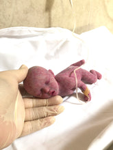 Load image into Gallery viewer, CUSTOM full body silicone mini kit Kenzo 8” GIRL in super soft blend with 3D skin effect BALD