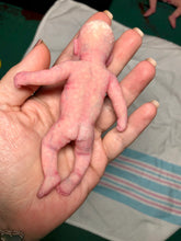 Load image into Gallery viewer, Prototype full body silicone mini baby Milly 4.5” in super soft blend asleep bald with belly button stamp