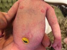 Load image into Gallery viewer, Prototype full body silicone mini kit Kenzo 8” in super soft blend with 3D skin effect BALD