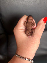 Load image into Gallery viewer, Custom full body silicone micro baby