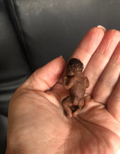 Load image into Gallery viewer, Custom full body silicone micro baby