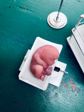 Load image into Gallery viewer, Custom full body silicone mini baby Gio in super soft blend with 3D skin effect - project “I exist!”