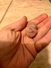 Load image into Gallery viewer, AVAILABLE very soft full body silicone mini baby Gio in super soft blend with 3D skin effect - project “I exist!”