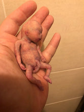 Load image into Gallery viewer, Custom full body silicone mini kit Leo (baby boy) in super super soft blend #3- project “I exist!”