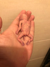 Load image into Gallery viewer, Custom full body silicone mini kit Leo (baby boy) in super super soft blend #3- project “I exist!”