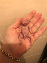 Load image into Gallery viewer, Custom full body silicone mini kit Leo (baby boy) in super super soft blend #3- project “I exist!”