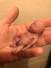 Load image into Gallery viewer, Custom full body silicone mini kit Leo (baby boy) in super super soft blend #3- project “I exist!”