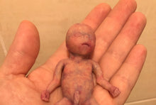 Load image into Gallery viewer, Custom full body silicone mini kit Leo (baby boy) in super super soft blend #3- project “I exist!”