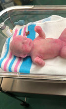 Load image into Gallery viewer, CUSTOM full body silicone mini kit Jasmine 5” in super soft blend