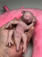 Load image into Gallery viewer, Custom listing for Mikkek - 2 Full body silicone awake baby hybrids