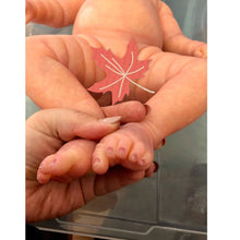 Load image into Gallery viewer, Custom painting of a silicone  baby doll (customer provides the blank kit of the doll) 15"  - 20"