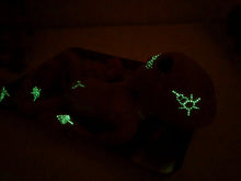 Load image into Gallery viewer, Full body silicone fantasy alien baby girl