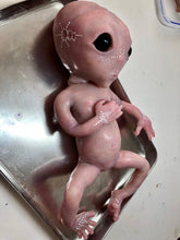 Load image into Gallery viewer, Full body silicone fantasy alien baby girl