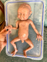 Load image into Gallery viewer, CUSTOM Full body silicone Collette 12" blank kit