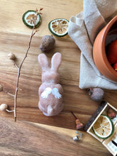 Load image into Gallery viewer, Full body silicone mini baby bunny