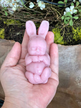 Load image into Gallery viewer, Full body silicone mini baby bunny BLANK (UNPAINTED)