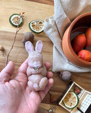 Load image into Gallery viewer, Full body silicone mini baby bunny